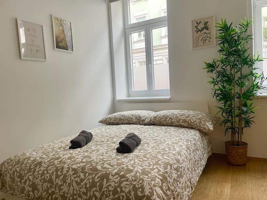 80 M2 Stylish & Renovated